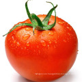 Tomate en polvo con buen sabor